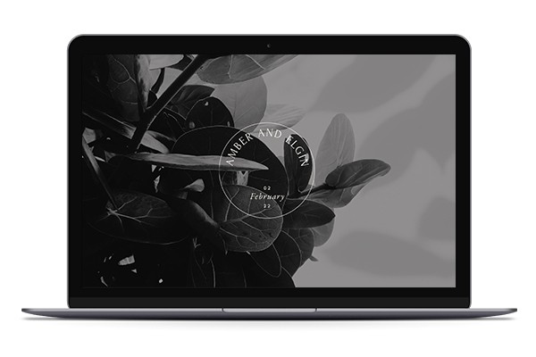 Wedding Websites